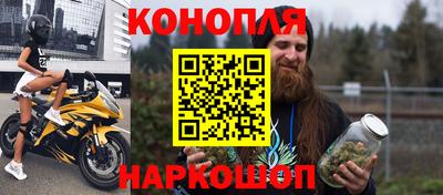крисы Донской