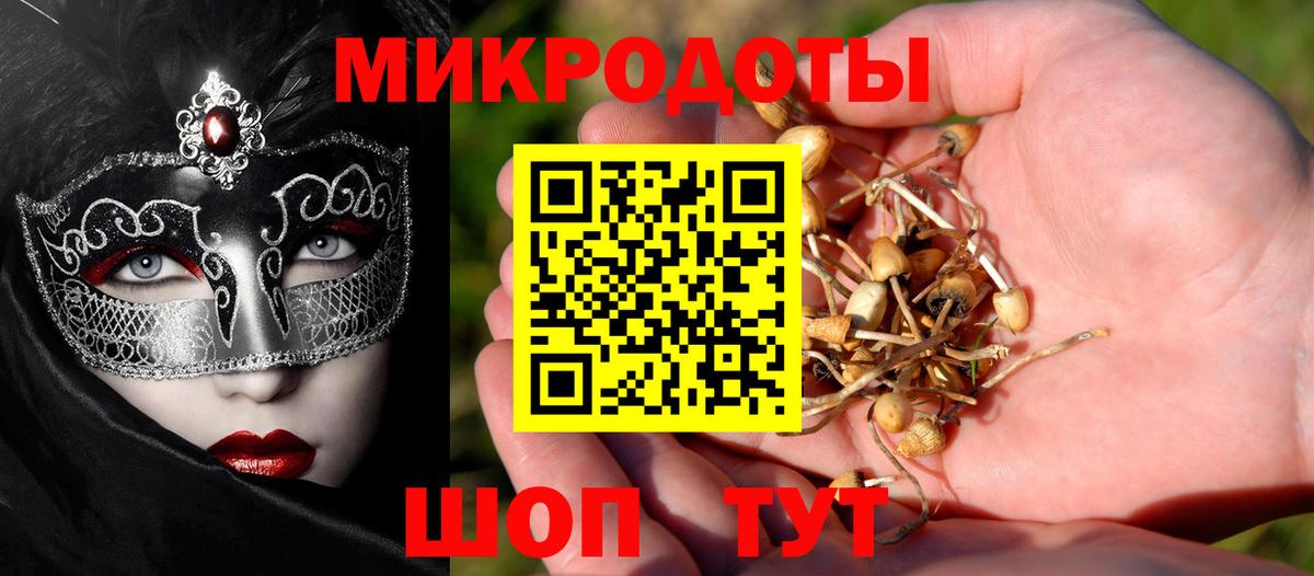 Галлюциногенные грибы мухоморы Москва
